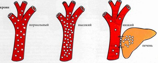 Сахар крови